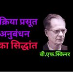skinner theory in hindi